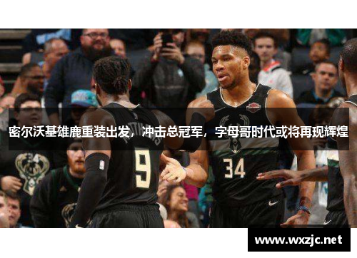 密尔沃基雄鹿重装出发，冲击总冠军，字母哥时代或将再现辉煌
